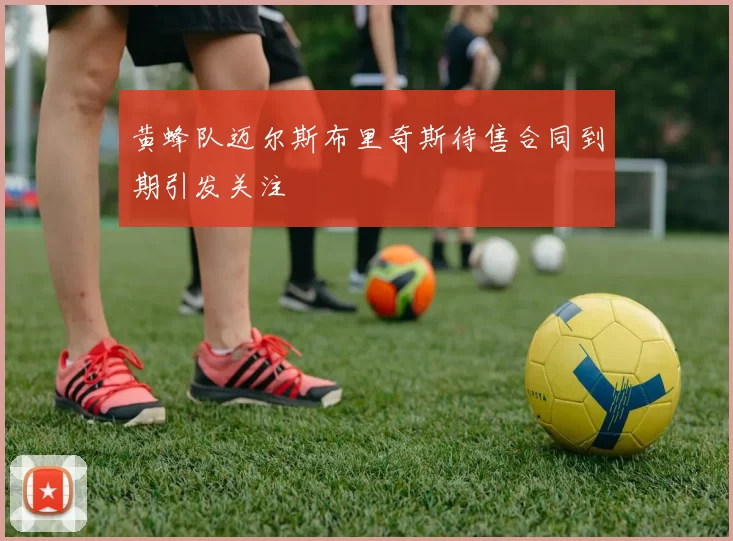 黄蜂队迈尔斯布里奇斯待售合同到期引发关注